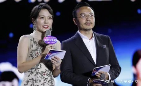 杨乐乐被强制执行,汪涵对此视而不见,是炒作还是婚姻早出祸端呢?