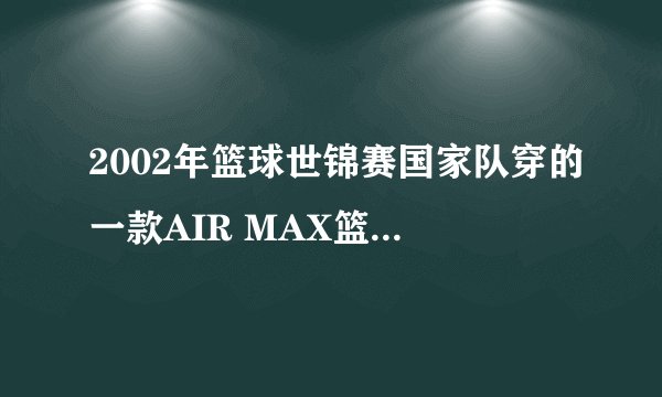 2002年篮球世锦赛国家队穿的一款AIR MAX篮球鞋的货号