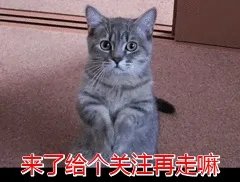 狗狗泪痕怎么解决?