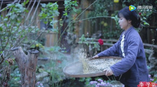 坐拥几千万粉丝的李子柒,被质疑的真实,到底长什么样?