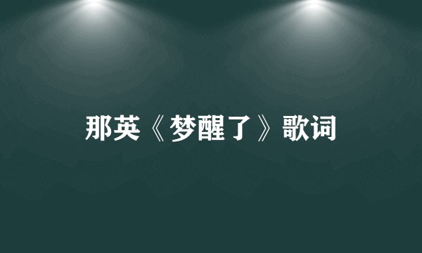 那英《梦醒了》歌词