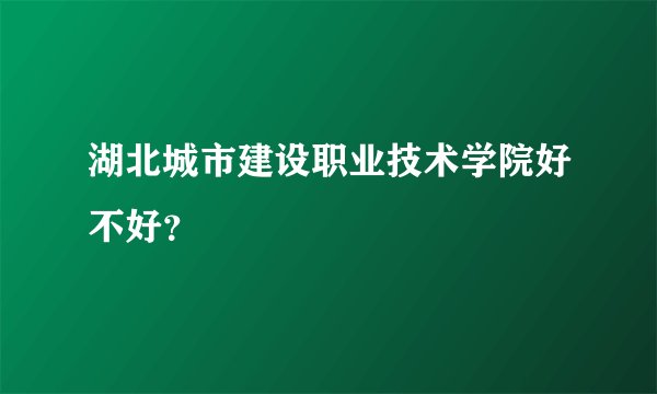 湖北城市建设职业技术学院好不好?