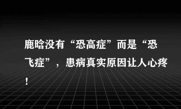 鹿晗没有“恐高症”而是“恐飞症”，患病真实原因让人心疼！