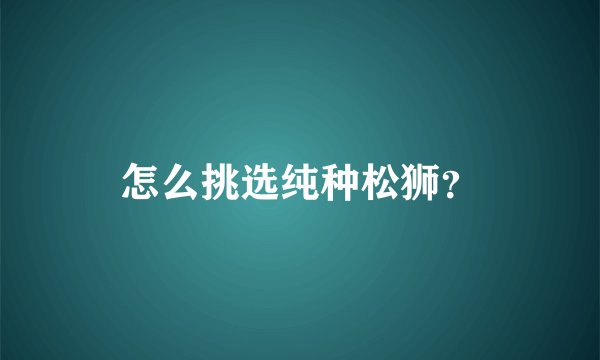 怎么挑选纯种松狮？