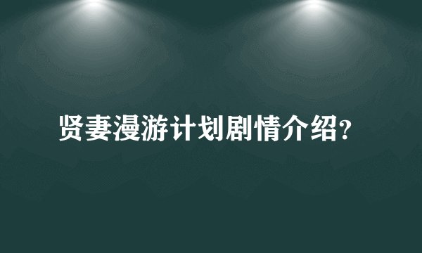 贤妻漫游计划剧情介绍？
