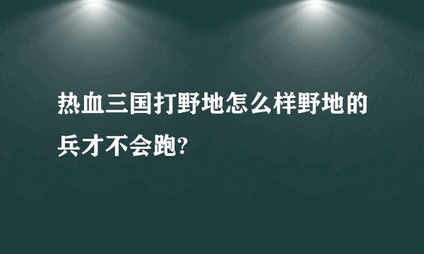 热血三国打野地怎么样野地的兵才不会跑?