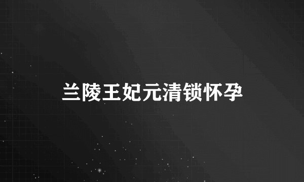 兰陵王妃元清锁怀孕