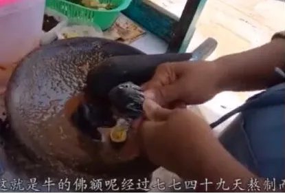 佛鹅呢是什么东西？