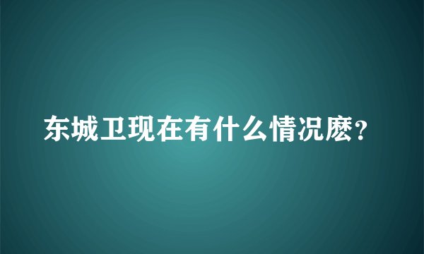 东城卫现在有什么情况麽？