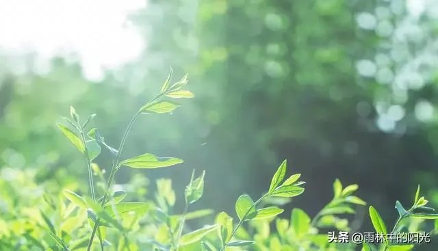 在疫情面前，为什么中国要一省包一国去支援全球？
