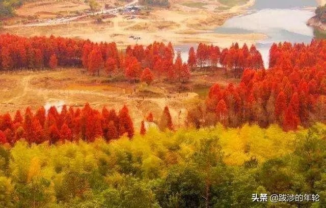 请问上海周边100公里左右自驾游有哪些景点推荐？