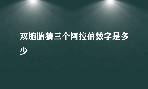 双胞胎猜三个阿拉伯数字是多少