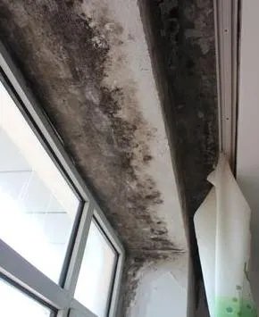 安装窗台石到底要不要留耳朵?