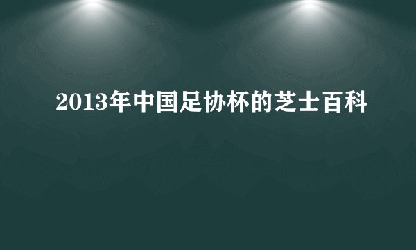 2013年中国足协杯的芝士百科