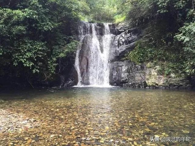 请问上海周边100公里左右自驾游有哪些景点推荐？