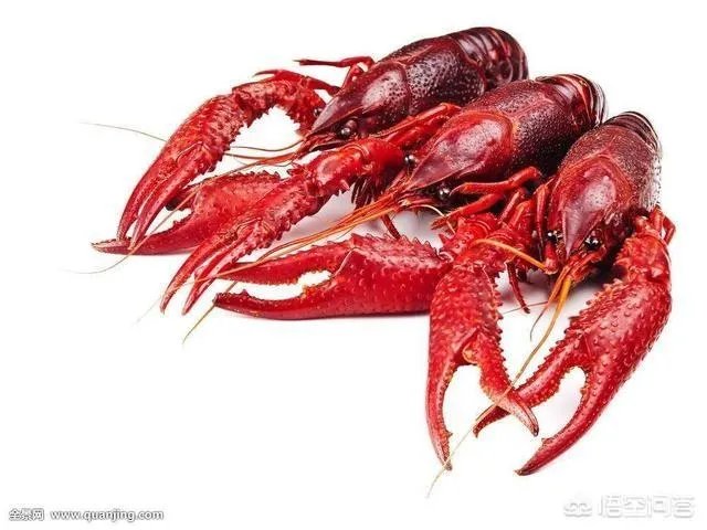 2018年武汉的小龙虾价格怎么样?