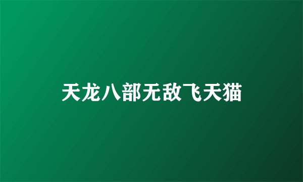 天龙八部无敌飞天猫