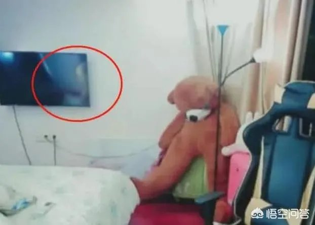 女主播涨粉10万,就是因为房间里有台电视机,你有何看法?