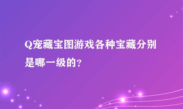 Q宠藏宝图游戏各种宝藏分别是哪一级的?