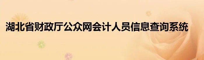 湖北省财政厅公众网会计人员信息查询系统