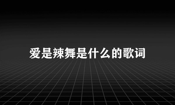 爱是辣舞是什么的歌词