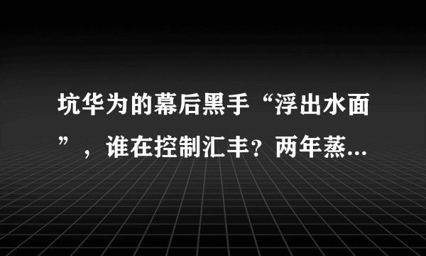 坑华为的幕后黑手“浮出水面”，谁在控制汇丰？两年蒸发千亿美元