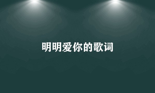 明明爱你的歌词