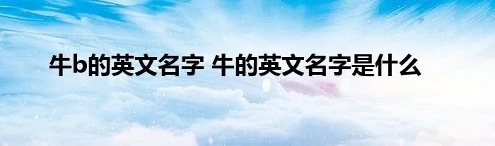 牛b的英文名字 牛的英文名字是什么
