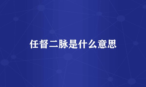 任督二脉是什么意思
