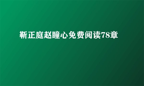 靳正庭赵瞳心免费阅读78章