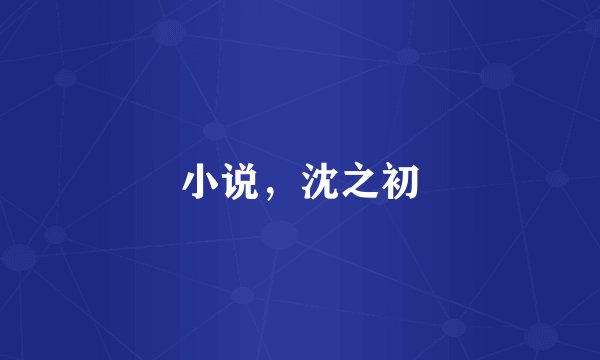 小说，沈之初