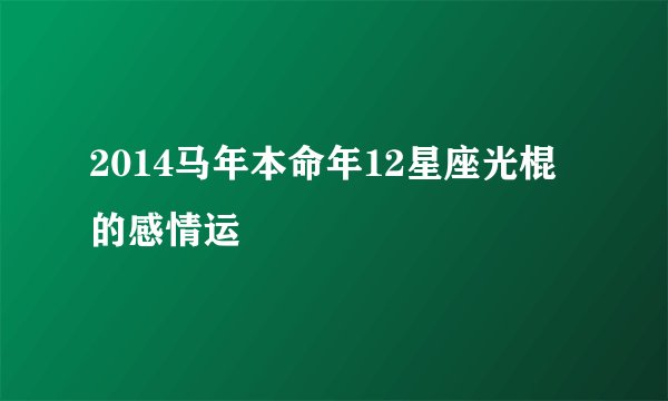 2014马年本命年12星座光棍的感情运
