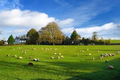 英国的综合实力怎么样?英国现在变成三流国家了吗?