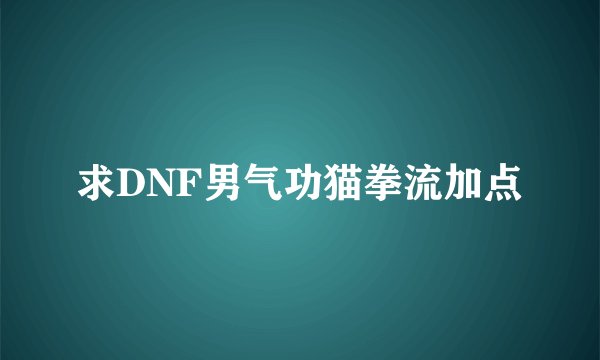 求DNF男气功猫拳流加点