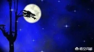 上联：孤月难熬星陪伴，如何对下联？