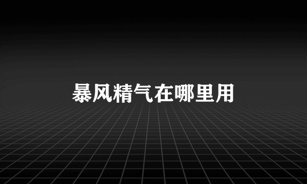 暴风精气在哪里用