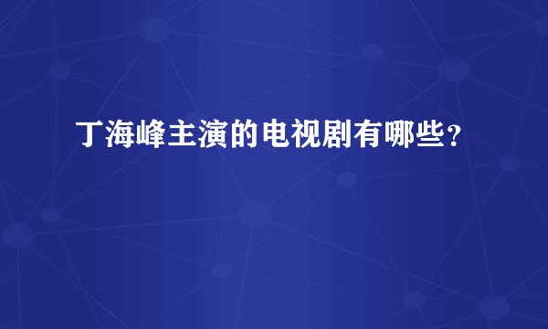 丁海峰主演的电视剧有哪些？
