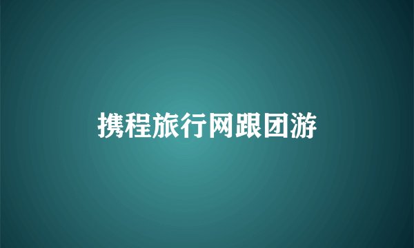 携程旅行网跟团游