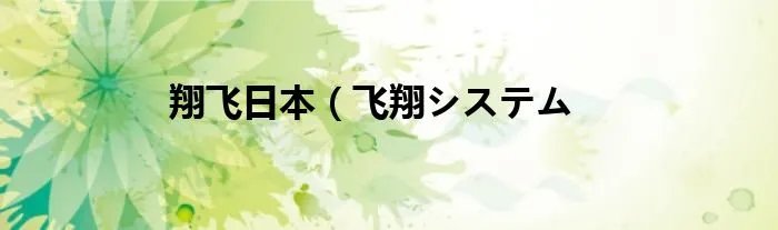 翔飞日本（飞翔システム