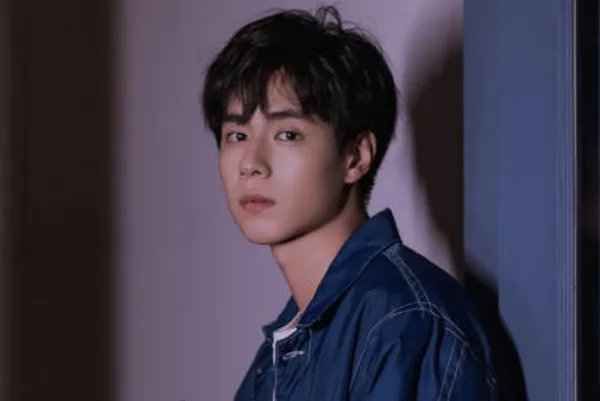 中国十大最受欢迎90后男演员排行榜:胡一天上榜,第五颜值爆表