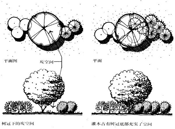 干货 | 庭院植物打造,营造十足空间感