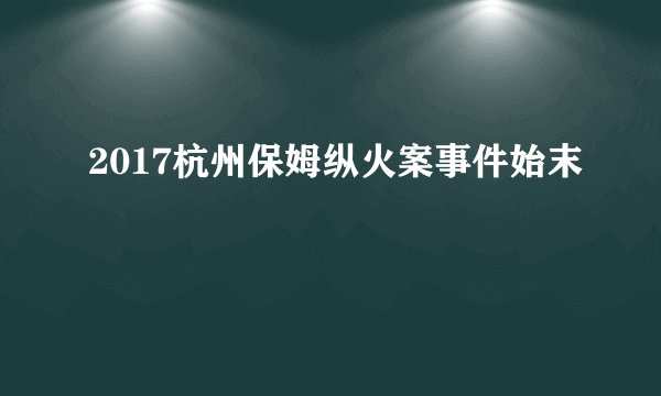 2017杭州保姆纵火案事件始末