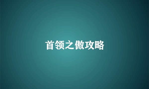 首领之傲攻略