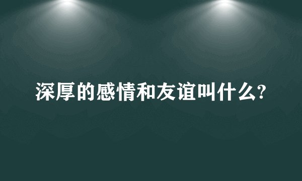 深厚的感情和友谊叫什么?