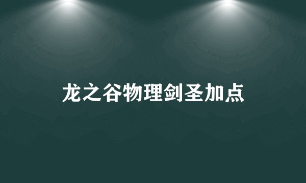 龙之谷物理剑圣加点