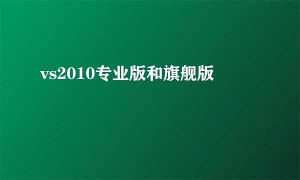 vs2010专业版和旗舰版