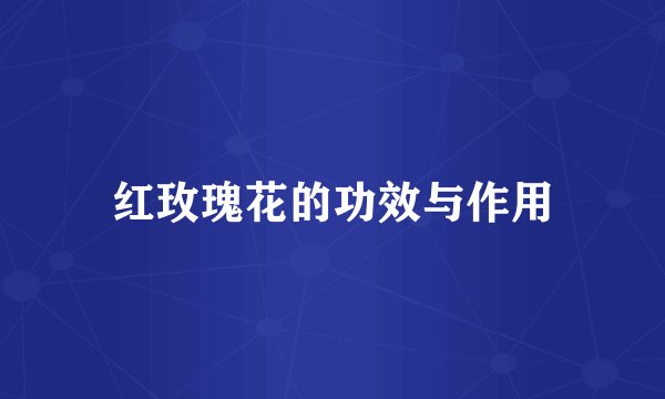 红玫瑰花的功效与作用