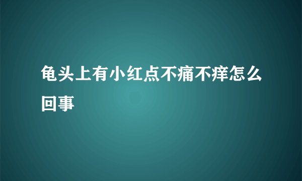 龟头上有小红点不痛不痒怎么回事