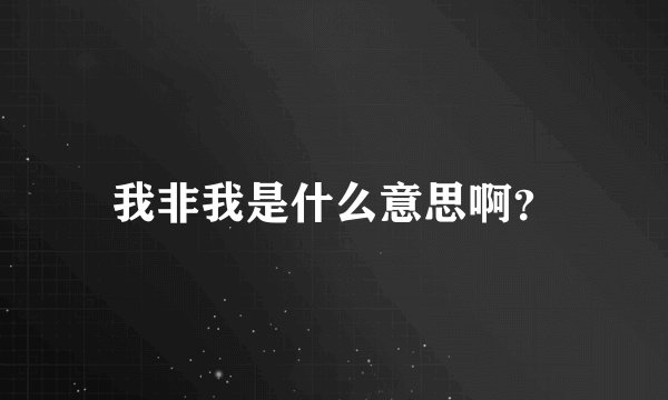 我非我是什么意思啊?
