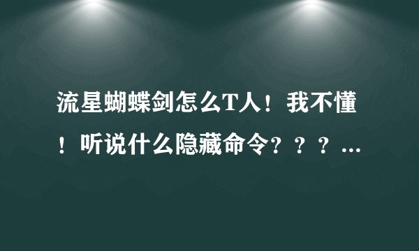 流星蝴蝶剑怎么T人！我不懂！听说什么隐藏命令？？？第一步按哪个键然后怎么办！一步一步说清楚点！谢了！
